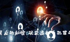 揭开虚拟币背后的秘密：破获虚拟币犯罪的斗争