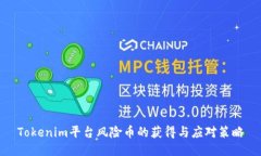 Tokenim平台风险币的获得与应对策略