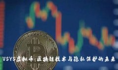 VSYS虚拟币：区块链技术与隐私保护的未来