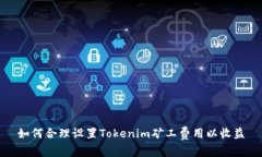 如何合理设置Tokenim矿工费用以收益