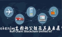 Tokenim支持的公链及其未来展望