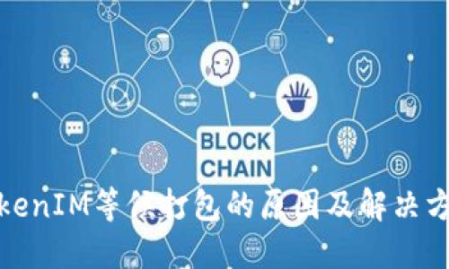 TokenIM等候打包的原因及解决方案