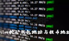 深入解析Tokenim挖矿钱包地址与提币地址的应用与