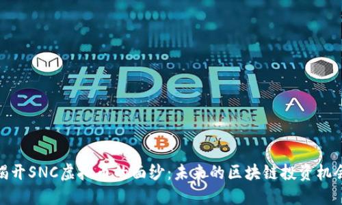 揭开SNC虚拟币的面纱：未来的区块链投资机会