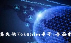 如何找回丢失的Tokenim币子：全面指导与解答