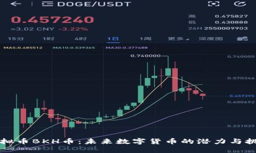 虚拟币BKH币：未来数字货币的潜力与挑战