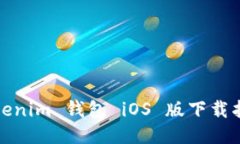 Tokenim 钱包 iOS 版下载指南