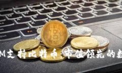 TokenIM支持比特币：市值领先的数字资产