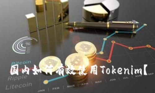 国内如何有效使用Tokenim？