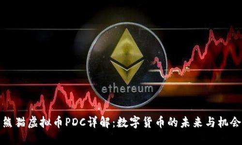熊猫虚拟币PDC详解：数字货币的未来与机会