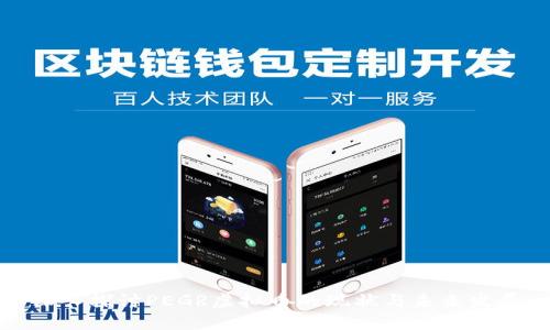 深入探讨PEGR虚拟币的现状与未来发展