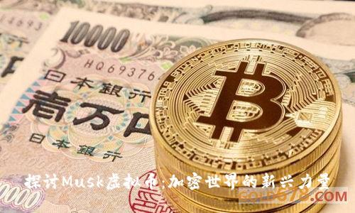 探讨Musk虚拟币：加密世界的新兴力量