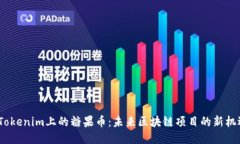  Tokenim上的糖果币：未来区块链项目的新机遇