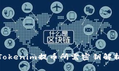 Tokenim提币所需密钥解析