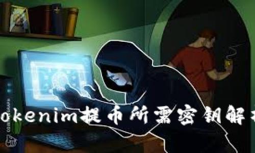 Tokenim提币所需密钥解析