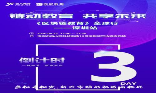 虚拟币批发：新兴市场的机遇与挑战