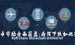 虚拟币市场全面崩盘：为何下跌如此猛烈？