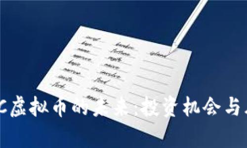 探索WXC虚拟币的未来：投资机会与风险分析