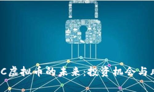 探索WXC虚拟币的未来：投资机会与风险分析