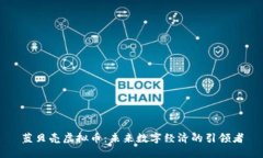 蓝贝壳虚拟币：未来数字经济的引领者