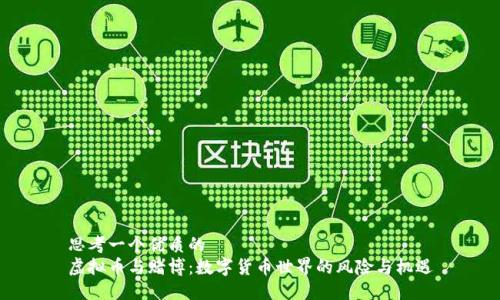 思考一个优质的  
虚拟币与赌博：数字货币世界的风险与机遇