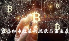国家虚拟币政策的现状与未来展望
