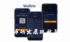 中国虚拟币的发展现状与未来展望