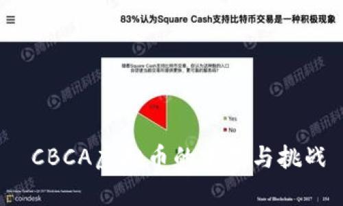  CBCA虚拟币的前景与挑战