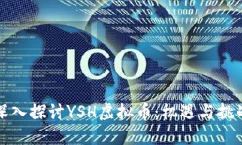 深入探讨YSH虚拟币：机遇与挑战
