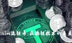 Tokenim流链币：区块链技术的未来之星