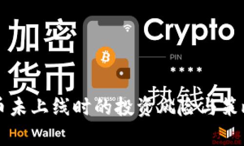 虚拟币未上线时的投资风险与策略分析