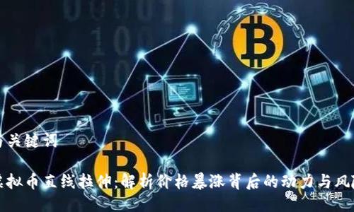 与关键词

虚拟币直线拉伸：解析价格暴涨背后的动力与风险