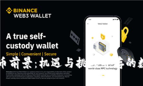 小丑币虚拟币前景：机遇与挑战并存的数字货币新星