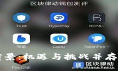 小丑币虚拟币前景：机遇与挑战并存的数字货币