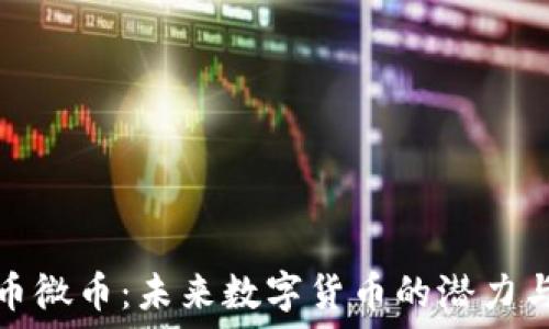  
虚拟币微币：未来数字货币的潜力与挑战