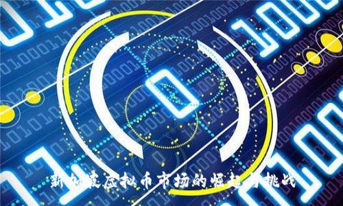 :
新加坡虚拟币市场的崛起与挑战