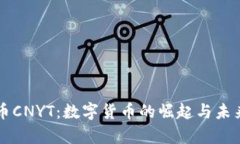 虚拟币CNYT：数字货币的崛起与未来前景