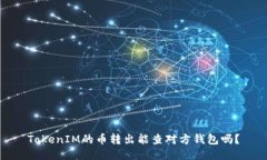 TokenIM的币转出能查对方钱包吗？