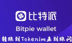 从火币转账到Tokenim未到账问题解析