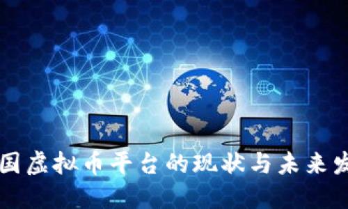中国虚拟币平台的现状与未来发展