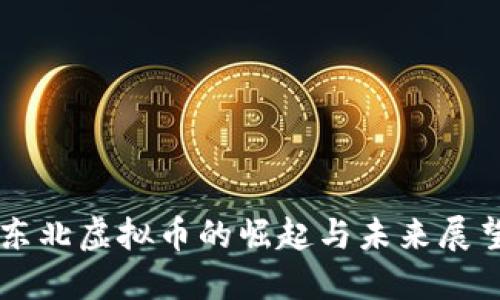东北虚拟币的崛起与未来展望