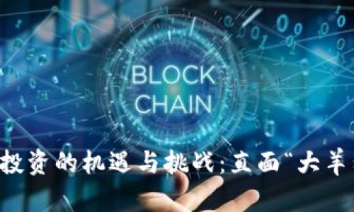 虚拟币投资的机遇与挑战：直面“大羊毛”骗局