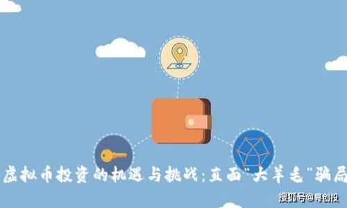 虚拟币投资的机遇与挑战：直面“大羊毛”骗局