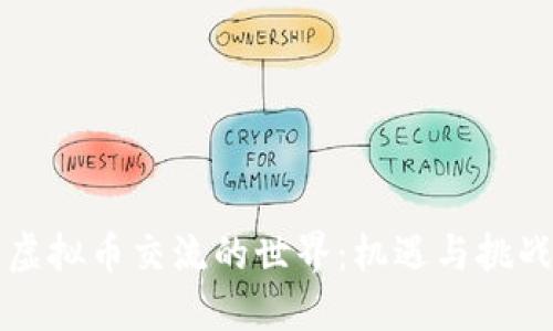 虚拟币交流的世界：机遇与挑战