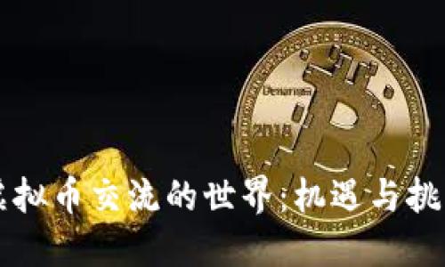 虚拟币交流的世界：机遇与挑战