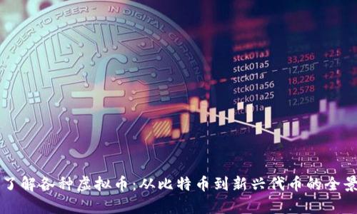 深入了解各种虚拟币：从比特币到新兴代币的全景分析