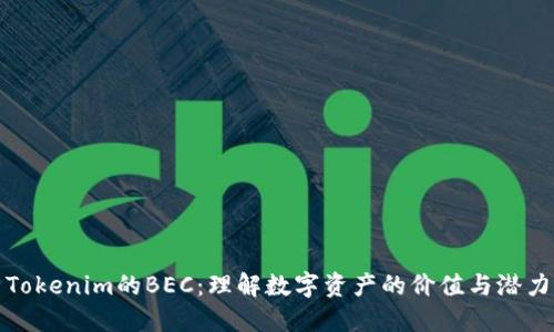 Tokenim的BEC：理解数字资产的价值与潜力