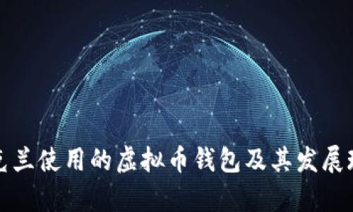 乌克兰使用的虚拟币钱包及其发展现状