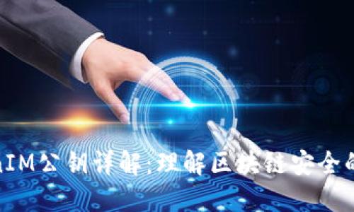 TokenIM公钥详解：理解区块链安全的基础