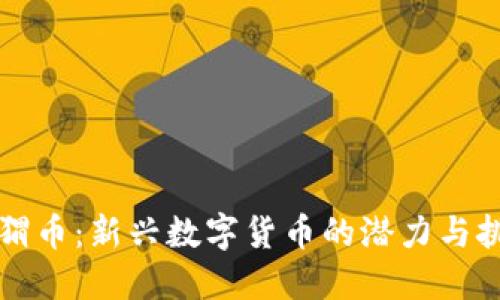 刺猬币：新兴数字货币的潜力与挑战